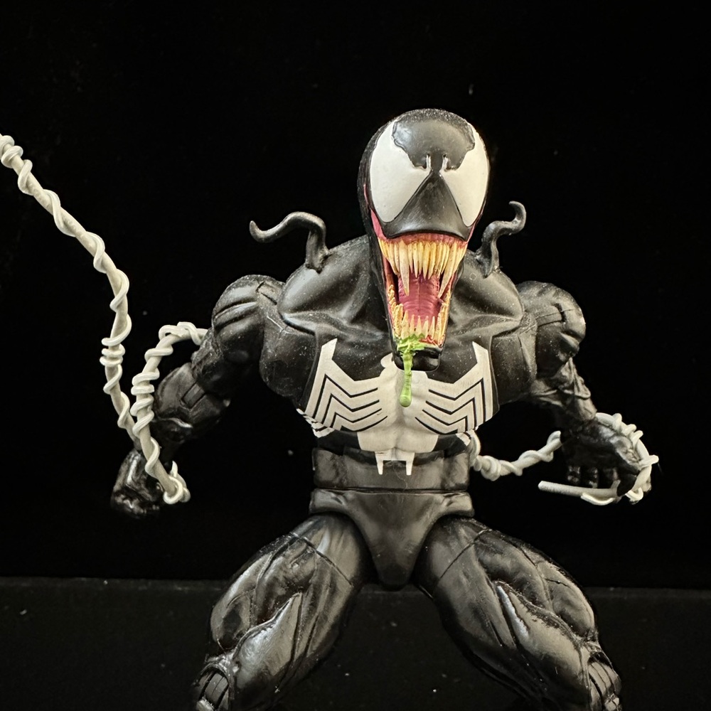 Marvel Legends Custom Venom Lethal Protector